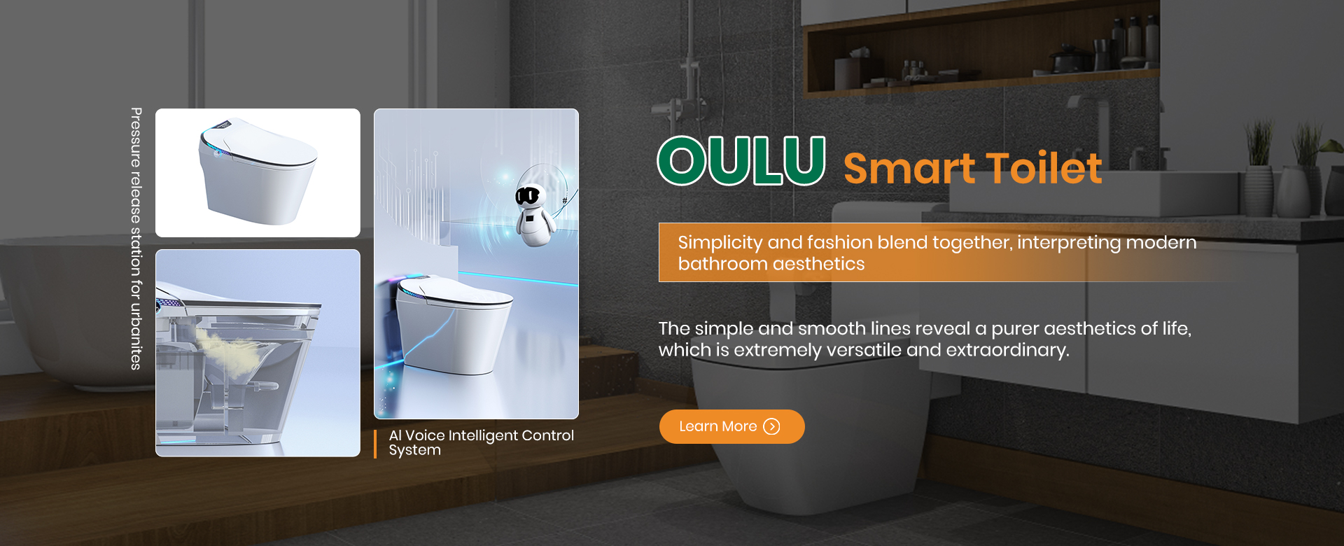 Wall-Hung Toilet